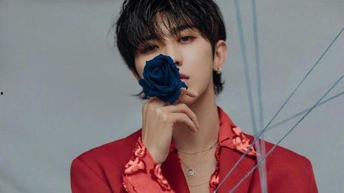 蔡徐坤刘亦菲最新爆料,揭秘娱乐圈幕后故事